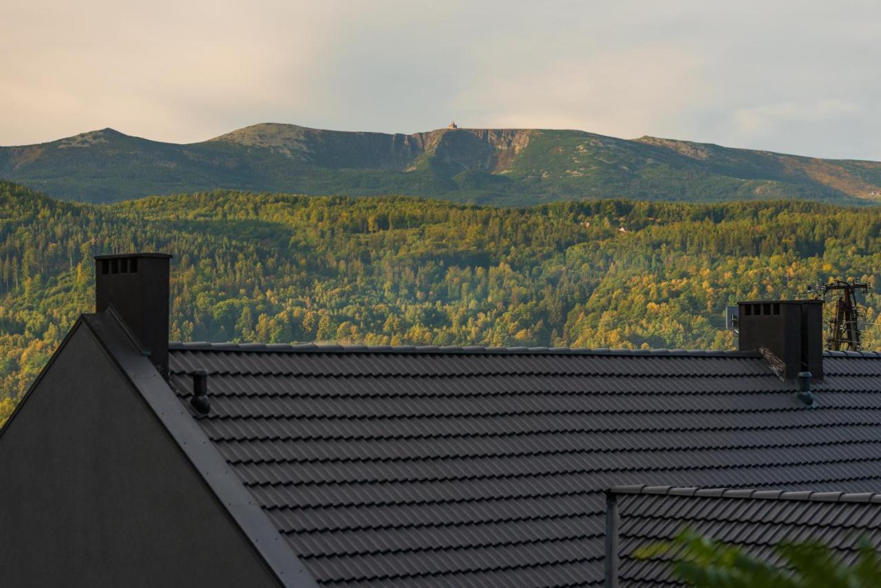 Widok